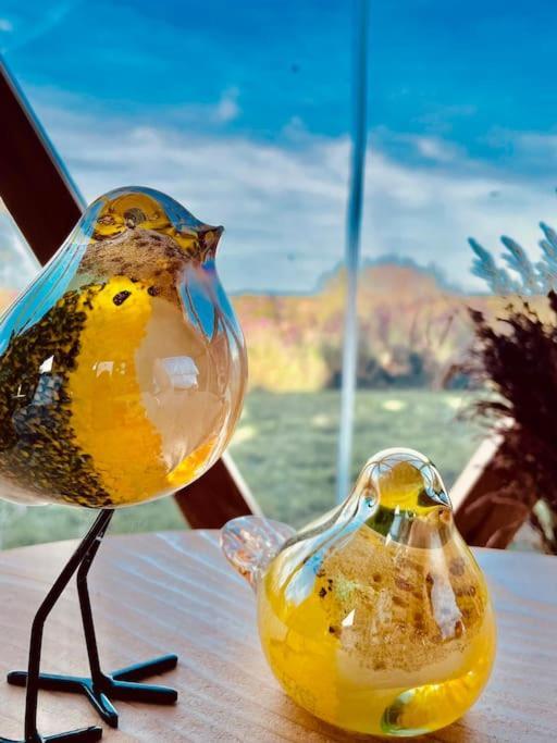 Dome Insolite Cedre Jacuzzi Et Petits Dejeuners Inclus Lagraulet-du-Gers Екстер'єр фото